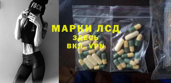спиды Ладушкин