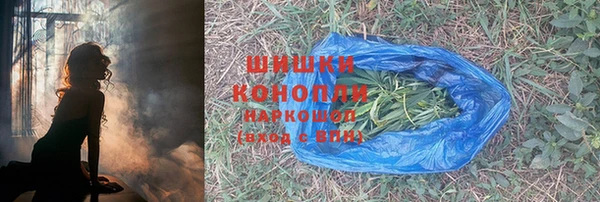 спиды Ладушкин