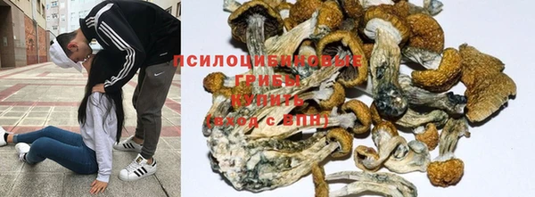 гидропоника Лабытнанги